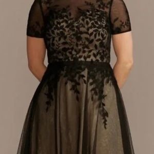 David’s Bridal Dress